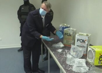 Dosja e klanit Çopja-Çela, “Karteli” bleu avion për transport droge, paratë i fshehën tek ullinjtë