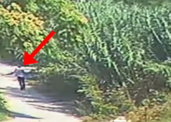 Ndezën zjarre duke rrezikuar banesa, arrestohen 3 persona në Fier dhe Lushnje