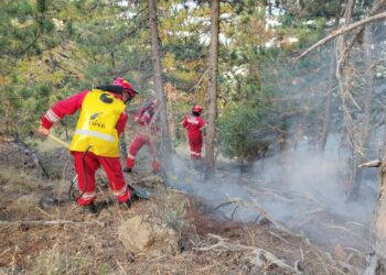 Zgjerohet sipërfaqja e zjarreve në Parkun e Gërmenjit, në terren 65 forca