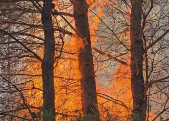 Zjarr pranë tunelit të Krrabës, 12 vatra gjatë ditës në vend