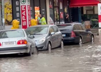Stuhia le pa drita Gjirin e Lalzit, Hamallajn dhe Xhafzotajn