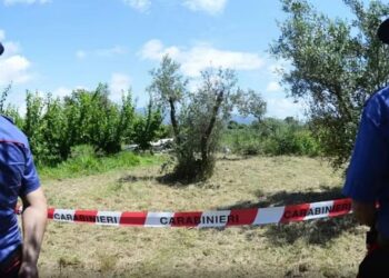 Rrëzohet një avion i vogël në Itali, ndërrojnë jetë piloti dhe e bija
