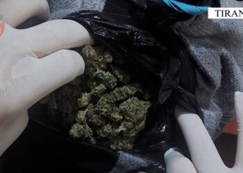 Trafikuan kanabis me përqindje të lartë THC, arrestohen dy të mitur në Tiranë