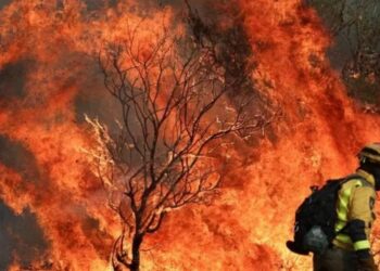 Europa përballet me një verë rekord zjarresh: 45% më shumë se në 2024, lidhja me krizën klimatike