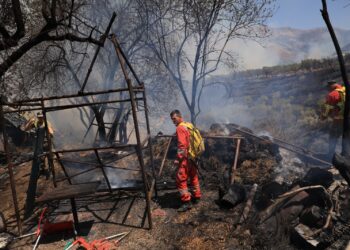 Fotot/ Pamje të trishta në Delvinë, shikoni pasojat që ka lënë zjarri