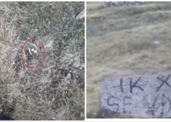 “Ik se do të vdesësh”/ Gëzhoja dhe mesazh kërcënues në gur, fermeri qëllohet me armë zjarri pranë banesës
