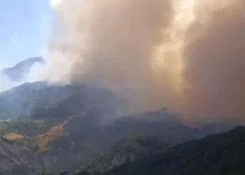 Nga inati i fqinjit i vuri zjarrin fshatit, dogji veten dhe plagosi 8 banorë! Detaje nga zjarri në Gramsh