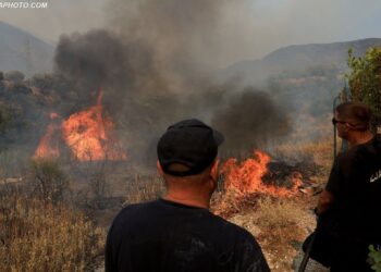 Bilanci pas katastrofës: Zjarri në Delvinë dogji një sipërfaqe prej 40 km2, dëme në banesa, ullishta, bujqësi