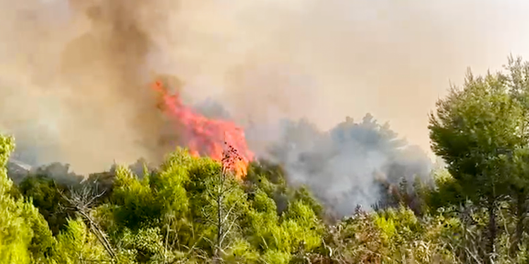 Luftë me flakët në jug, zjarr masiv mes Patosit dhe Mallakastrës, situatë e vështirë edhe në Mirditë