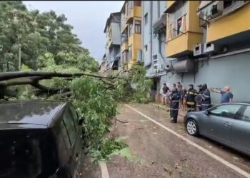 IGJEUM: Reshjet intensive të shiut do të vijojnë. Tre qarqet më të rrezikuara