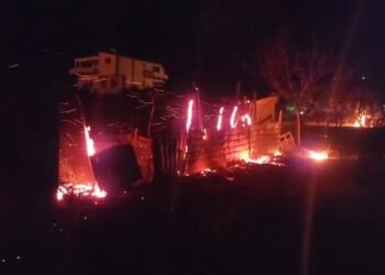 Zjarr në Dukat të Ri, flakët përhapen me shpejtësi, digjen disa kasolle dhe ullinj