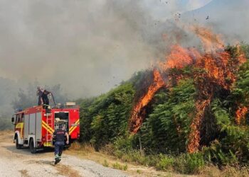 Pse Shqipëria digjet çdo verë?