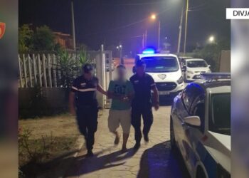 Zjarre të qëllimshme në Divjakë dhe Mallakastër, dy të arrestuar! Dëme të mëdha në ullinj dhe sipërfaqe me shkurre