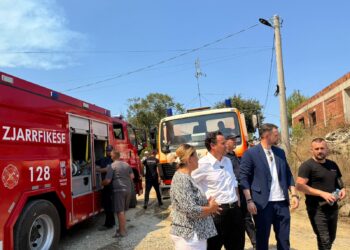 Zjarret në Tiranë, nënkryetari i Bashkisë: Kush kryen veprime të qëllimshme, përballet me ligjin