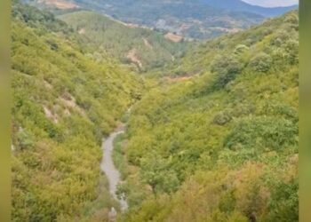 Doli për të kërkuar qenin që i ruante bagëtitë, ende asnjë gjurmë nga 56-vjeçari në Elbasan