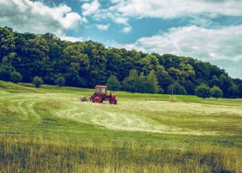 Investimet në bujqësi dhe agroturizëm, dalin kriteret për secilën masë me 50% mbështetje nga qeveria