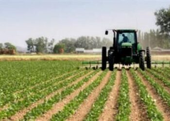 Tarifa e Trump për Shqipërinë? Eksportuesit: Mund të jetë një mundësi e artë për të përfituar!