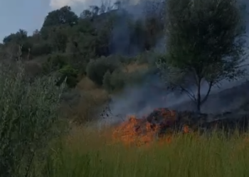 Zjarr masiv në Cërrik, rrezikohen banesat, bizneset dhe dhjetëra hektarë tokë. Dyshohet i qëllimshëm