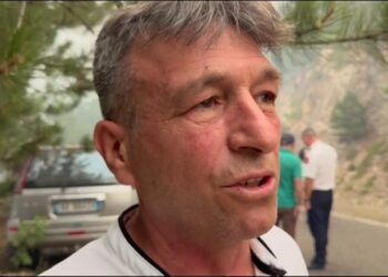 Zjarri në fshatin Xath, kryebashkiaku Curri: Ministrit i kam çuar mesazh për ndërhyrje nga ajri, asnjë reagim