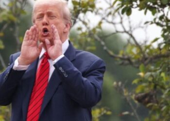 Gazetarët e pyesin se çfarë po bënte në majë të çatisë së Shtëpisë së Bardhë, Trump: Do vendos raketa bërthamore!