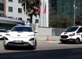Plagosja e 28-vjeçarit në Hamallaj, arrestohen dy persona, shpallen në kërkim dy të tjerë