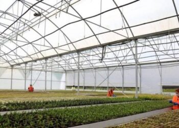 Qeveria çel skemat e investimeve në bujqësi, fermerët kanë afat deri në 30 shtator për të aplikuar