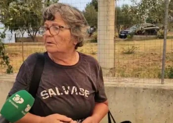 VIDEO / “Punova kot 70 vite, ç’e dua jetën…”, flakët arrijnë Nartë, gruaja lë banesën me lot në sy