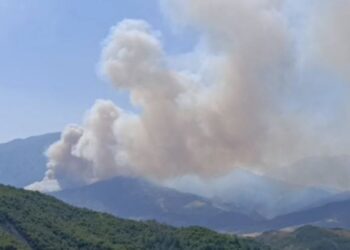 Zjarret masive në Gramsh, 8 grupe në terren për vlerësimin e dëmeve