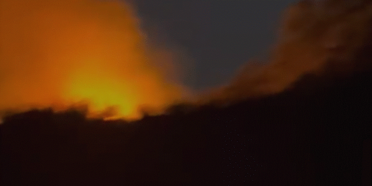 Zjarr në dy fshatra të Gjirokastrës, zjarrfikësit në vendin e ngjarjes për të shuar flakët