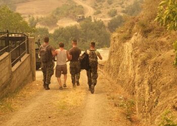 Zjarret në Finiq: 9 nga 12 fshatrat e bashkisë me dëme në ullishta, banesa dhe objekte kulti