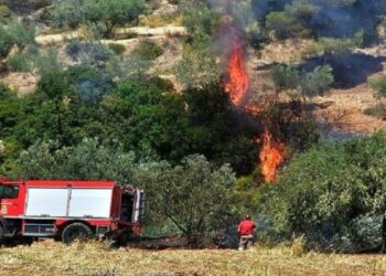Greqia e shkrumbuar pas zjarreve masive! Dëme të shumta në shtëpi, biznese dhe automjete