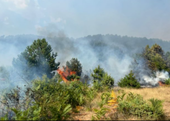 Përmirësohet situata në Gramsh, vetëm 1 vatër aktive. Më 18 gusht ngrihen grupet e punës për dëmet