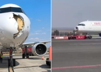 Incident në ajër, zogu gjigant përplaset me avionin! Detyrohet të bëjë ulje emergjente në Madrid
