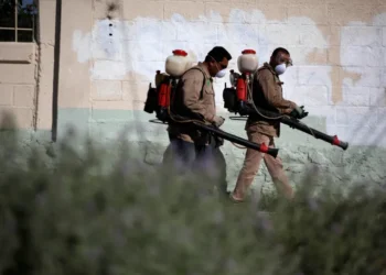 Mbi 240 mijë raste me dhjetëra viktima, çfarë është virusi Chikungunya