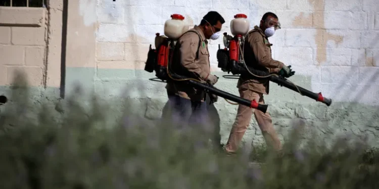 Mbi 240 mijë raste me dhjetëra viktima, çfarë është virusi Chikungunya