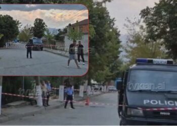 DETAJE / Si përfundoi në tragjedi sherri mes 14-vjeçarëve në Maliq