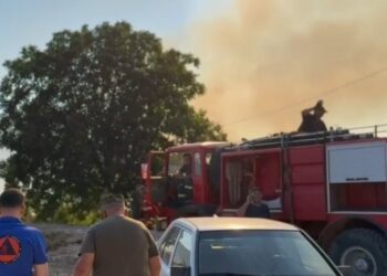 Rindizet zjarri në Poliçan, rrezikohen banesat, ndërhyn avioni “Canadair”