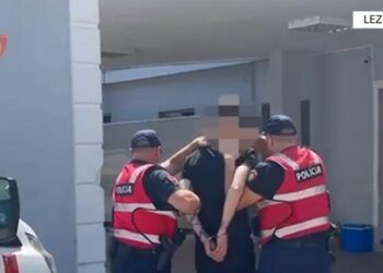 Trafik armësh e municionesh nga Shqipëria në Itali, arrestohet në Lezhë kreu i organizatës kriminale!