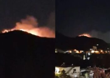 Përfshihet nga zjarri një zonë me bimësi në Selitë, temperaturat e larta dhe era favorizojnë përhapjen e flakëve