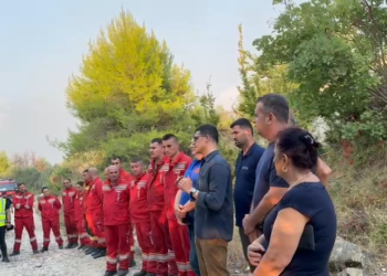 Zjarri në Mallakastër dhe Patos/ Vengu në terren: Mbrojtja e jetës dhe e mjedisit, prioritet absolut