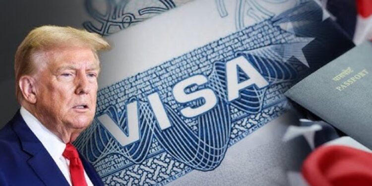 Mbi 55 milionë viza “nën lupë”, DASH nis operacionin e madh të verifikimit