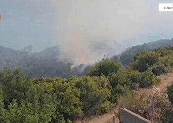 Shkaktarë të ndezjes së zjarreve në vend, arrestohet një person! Nis hetimi për dy të tjerë