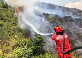 25 vatra zjarri në 24 orë, Ministria e Mbrojtjes: Vetëm 1 aktive
