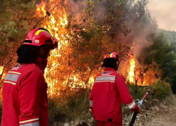 16 vatra zjarri gjatë 24 orëve, Ministria e Mbrojtjes: Vetëm 1 vatër aktive, një tjetër në monitorim