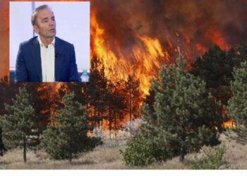 Situata e përsëritur me zjarret vitet e fundit, eksperti i sigurisë: Kambanë alarmi, janë 325 mln euro dëme këtë verë