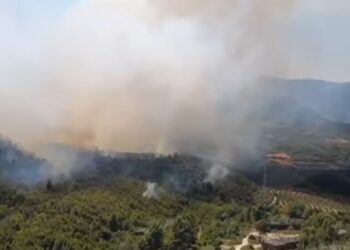 Për të dytën herë brenda pak ditësh! Zjarr pranë Uzinës së Armëve në Poliçan