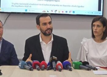VIDEO / Partia e Lapajt konfirmon publikisht: Deputetja jonë do të rreshtohet krah Berishës