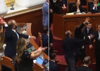 Bardhi reagon pas seancës: Diella nuk është vizion, por fasada virtuale e vjedhjeve