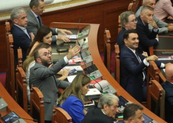 Opozitarë, por të pasur