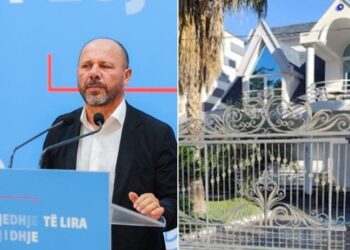 Tritoli në vilën e Mziut, akuzat politike dhe ‘Shamikuqja’